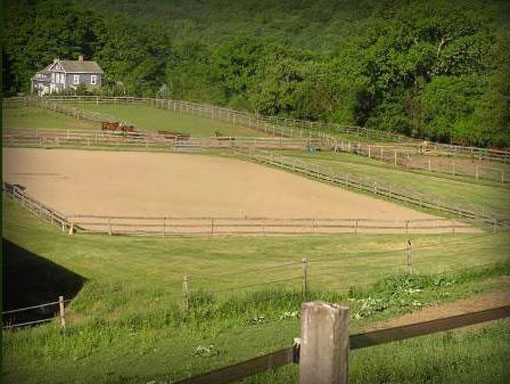 photo1.jpg